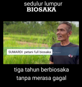 Sudah tiga tahun aplikasi Biosaka dan hasil padi nya bagus, ini penampakannya
